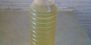 Moringa Oil