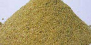 Coriander Powder