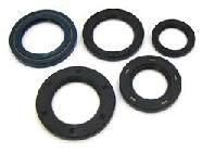 Automobile Oil Seals