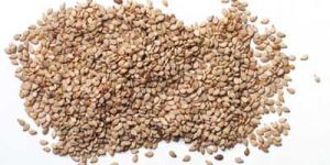 Sesame Seeds