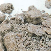 Process Fluidised Bed Plants