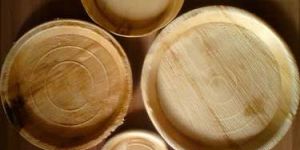 Disposable Palm Plates