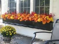 Window Box Planter