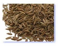 Cumin Seeds