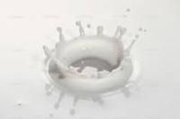 Water Based Adhesives