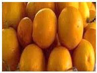 Certified Organic Fresh Mango