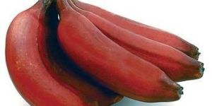 Red Banana