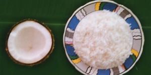 Frozen Shreded Coconut