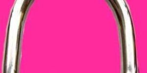 Stainless Steel D-Rings