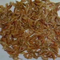 Sun Dried Baby Shrimp