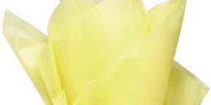Yellow Tissue Paper