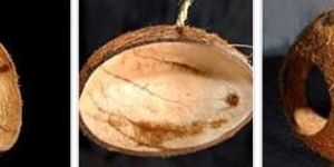 Coconut Shell Bird Feeder