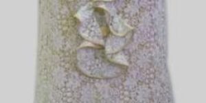 Lace Dress With Lining