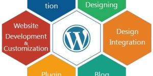 Wordpress Website Development