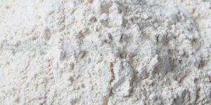 Dehydrated Onion Powder