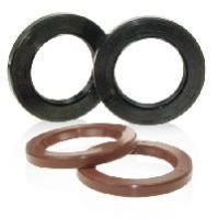 Rotary Shaft Seals