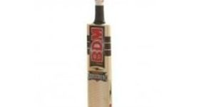 BDM Armstrong Kashmir Willow Cricket Bat _ cricket store