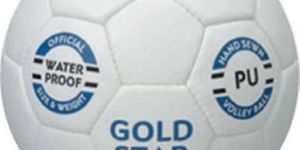 Cosco Gold Star Volleyball