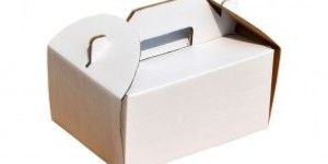 Corrugated Pastry Box