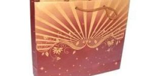 Printed Paper Carry Bags