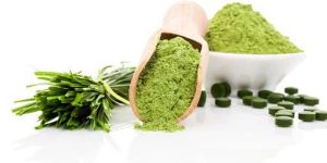 Wheatgrass Powder