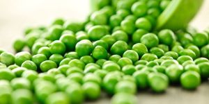Fresh Green Peas