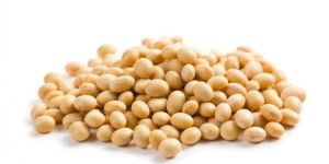 Soybean Seeds