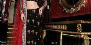 Party Wear Lehenga Choli