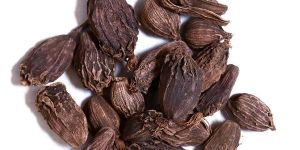 Black Cardamom