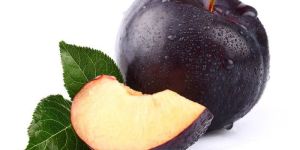 Fresh Plum