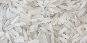 Polished Rice
