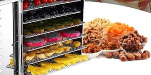 Fruit Drying Machine