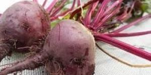 Organic Beetroot