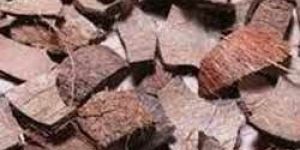 Coconut Shell Chips