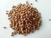 Desi Chana