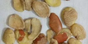 Angelica Herbal Seed