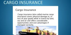 Cargo Insurance Management Services