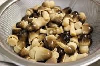 Canned Mushroom Slice