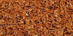 Flax Seeds