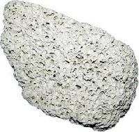 Pumice Stone