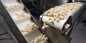 Food Grade Conveyor Belts