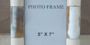 Horn Photo Frames