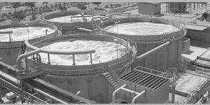 Moving Bed Biological Reactor