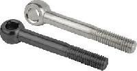 Stainless Steel Eye Bolts