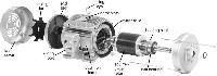 Three Phase Induction Motor