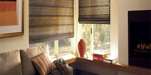Motorized Window Blinds