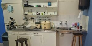 EARMOULD LAB