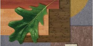 Eco-Friendly Product