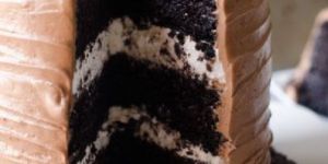 Chocolate Chips Cake