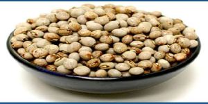 Tanzania Pigeon Peas